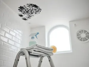 Grzyb w łazience na suficie – jak się go pozbyć?