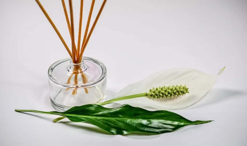 Naturalne zapachy do domu inspirowane rytuałami wellness
